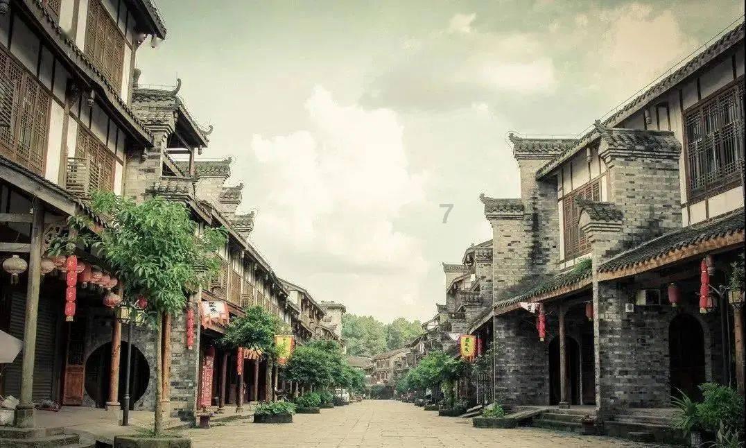 救援鹦鹉